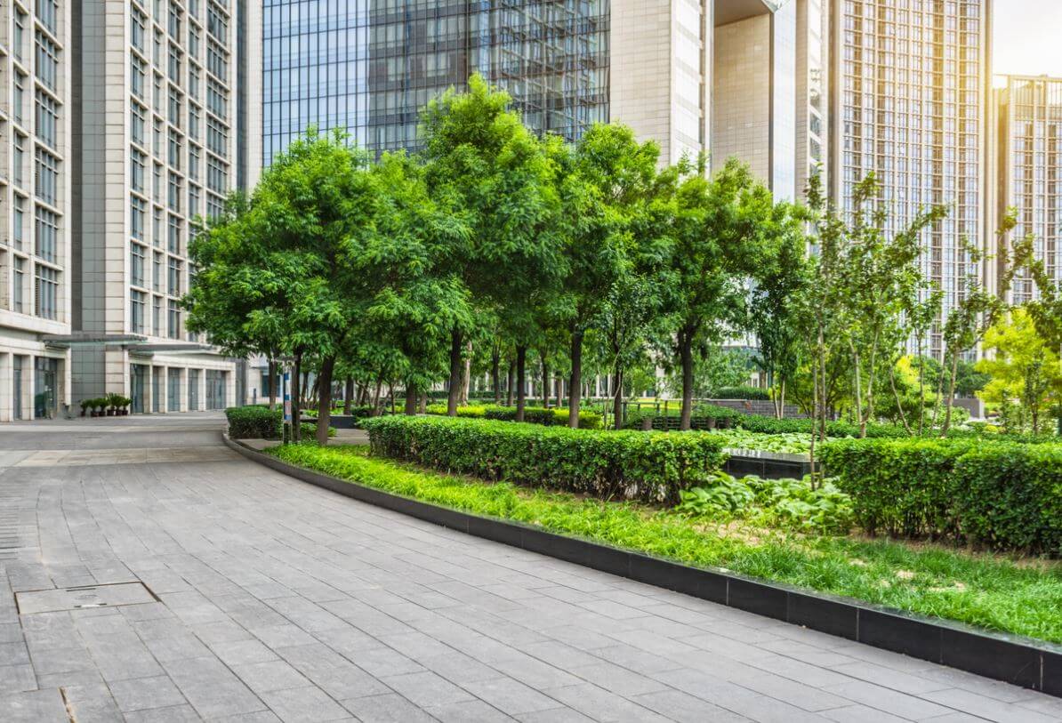 Trees and bushes in front of skyscrapers