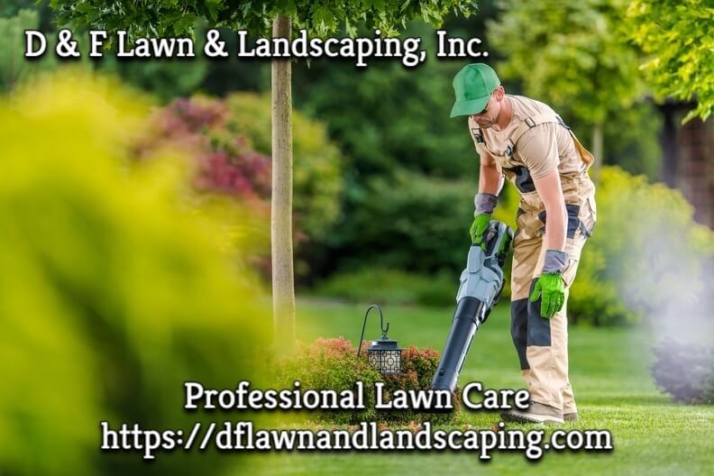 Affordable Lawn Care in Fort Lauderdale, FL
